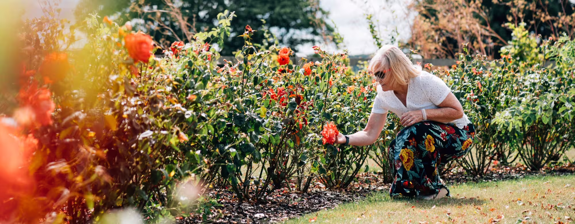 Flowerbed in Faversham Memorial Park